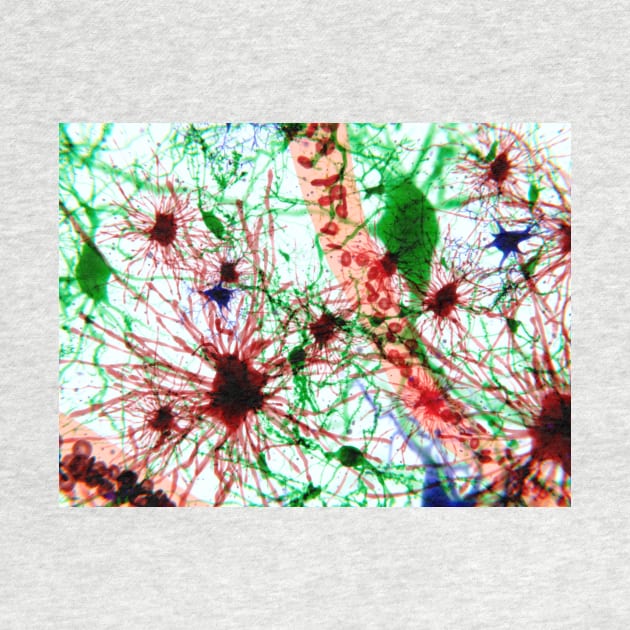 Brain cells, illustration (F013/1488) by SciencePhoto